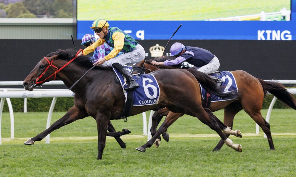 了解他们的 了解他们的