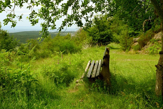 精彩对决 精彩对决