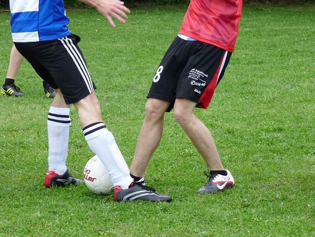 在扎实的支 在扎实的支