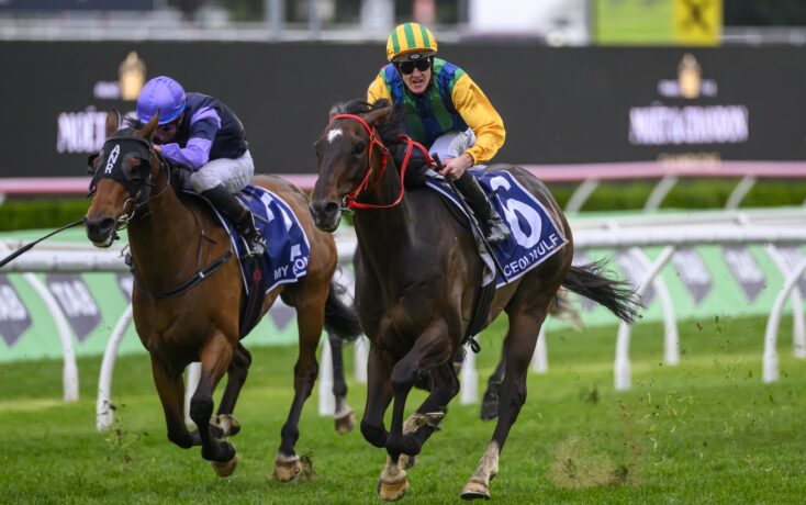 巴萨比赛 巴萨比赛