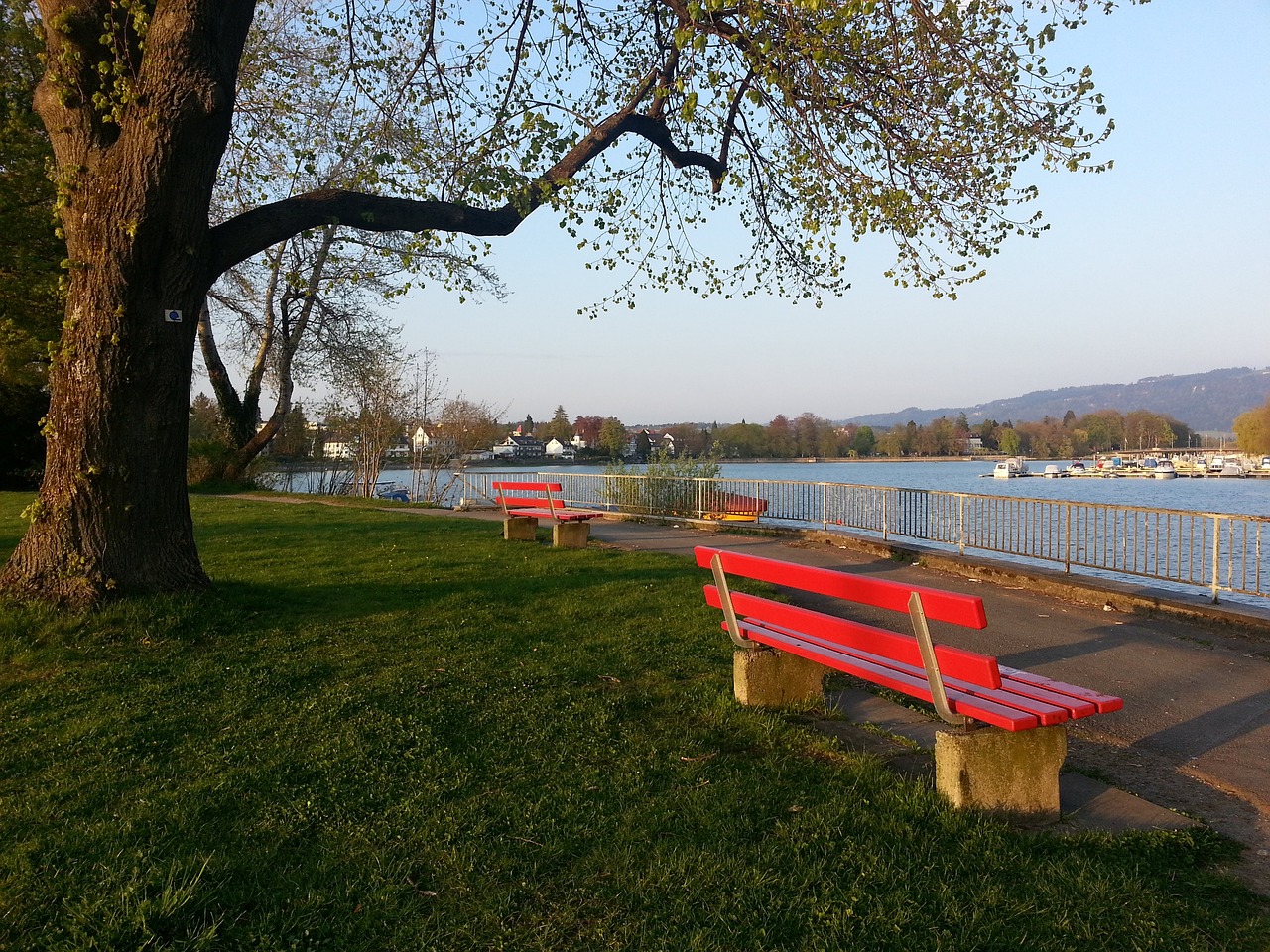 迷和媒体热 迷和媒体热