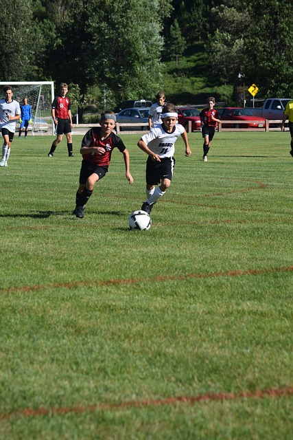 阵容组合 阵容组合